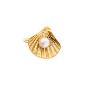 Kochyli Ring