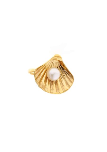 Kochyli Ring