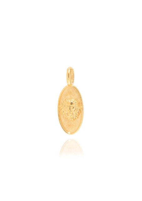 Leo Oval Charm