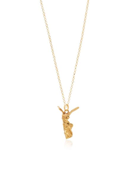 Nike Thin Chain