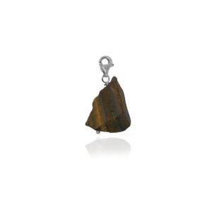 Brown Tiger Eye Clip On